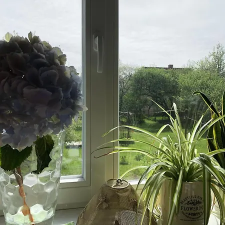 New 3br Family Friendly House With Huge Garden&free Parking Apartment *