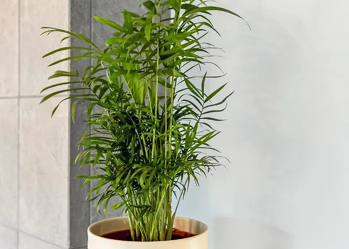 Leete Residence- 3br Family Friendly With Huge Garden&free Parking